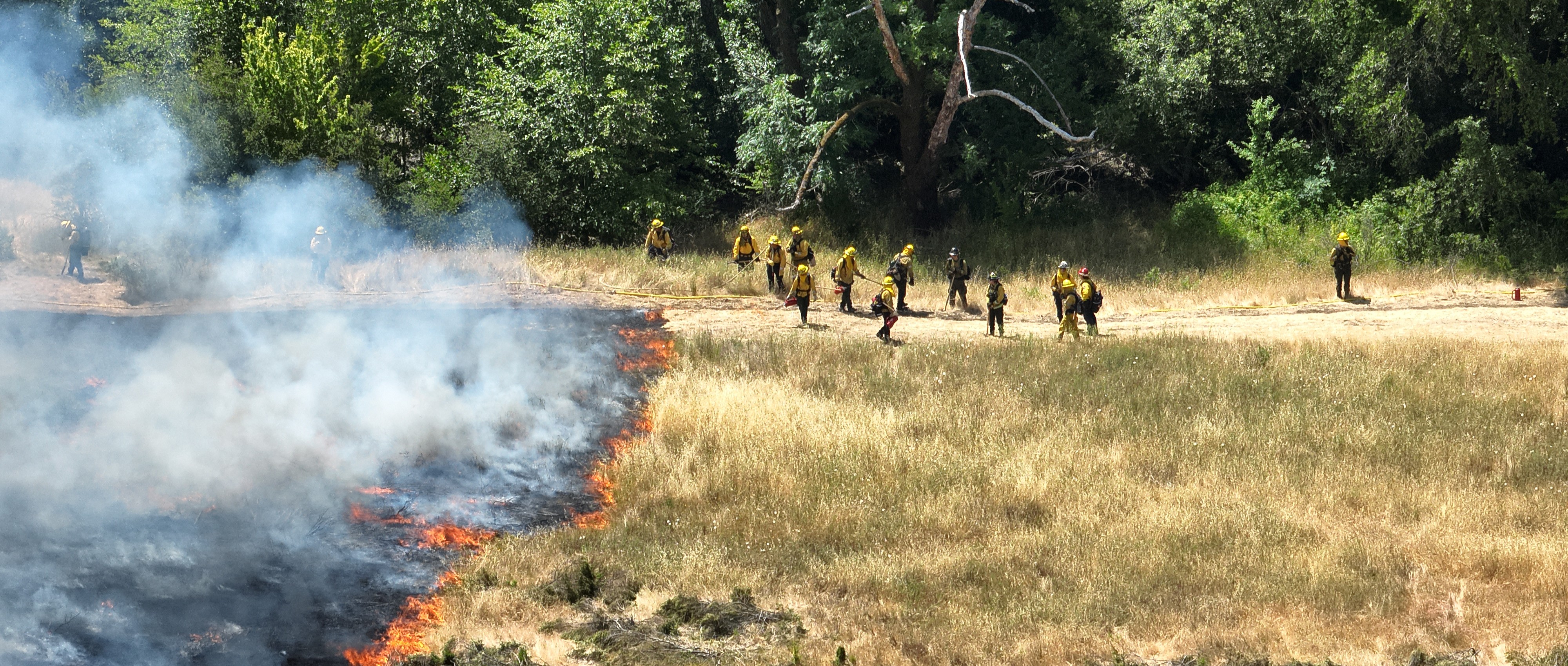Calfire Firefighters observe Prescribed Fire in grassland